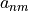 a_{nm}